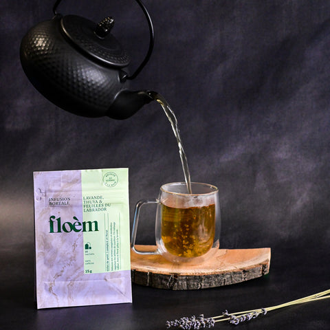 Tisane en sachets - thuya, lavande & feuilles du Labrador - 8 x 10 sachets