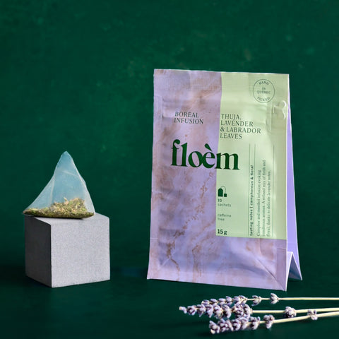 Tisane en sachets - thuya, lavande & feuilles du Labrador - 8 x 10 sachets