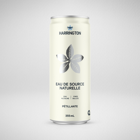 Eau de source naturelle pétillante - 24x355ml