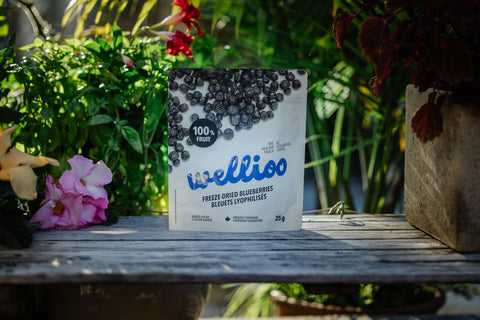 Wellioo - Freeze-dried Blueberries - 12 x 25g