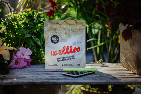 Wellioo - Pommes lyophilisées - 12 x 25g