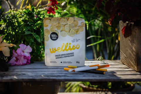 Wellioo - Bananes lyophilisées - 12 x 50g