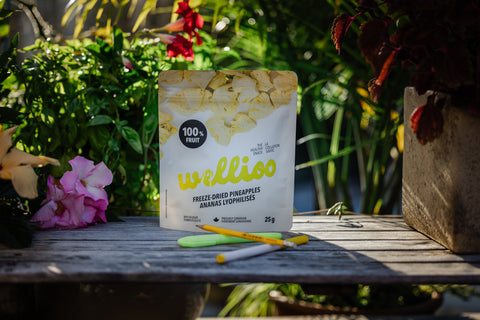 Wellioo - Ananas lyophilisés - 12 x 25g
