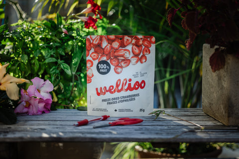 Wellioo - Fraises lyophilisées - 12 x 25g