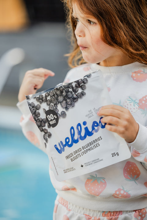Wellioo - Freeze-dried Blueberries - 12 x 25g