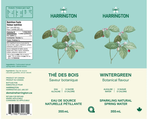 Eau pétillante Thé des bois - 6 x 4x355ml