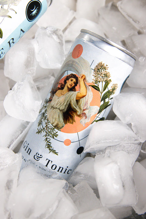 Gin & Tonic - 12 x 355ml