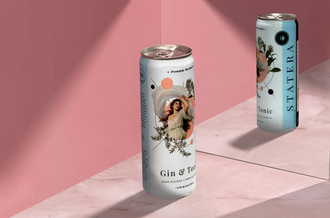 Gin & Tonic - 12 x 355ml